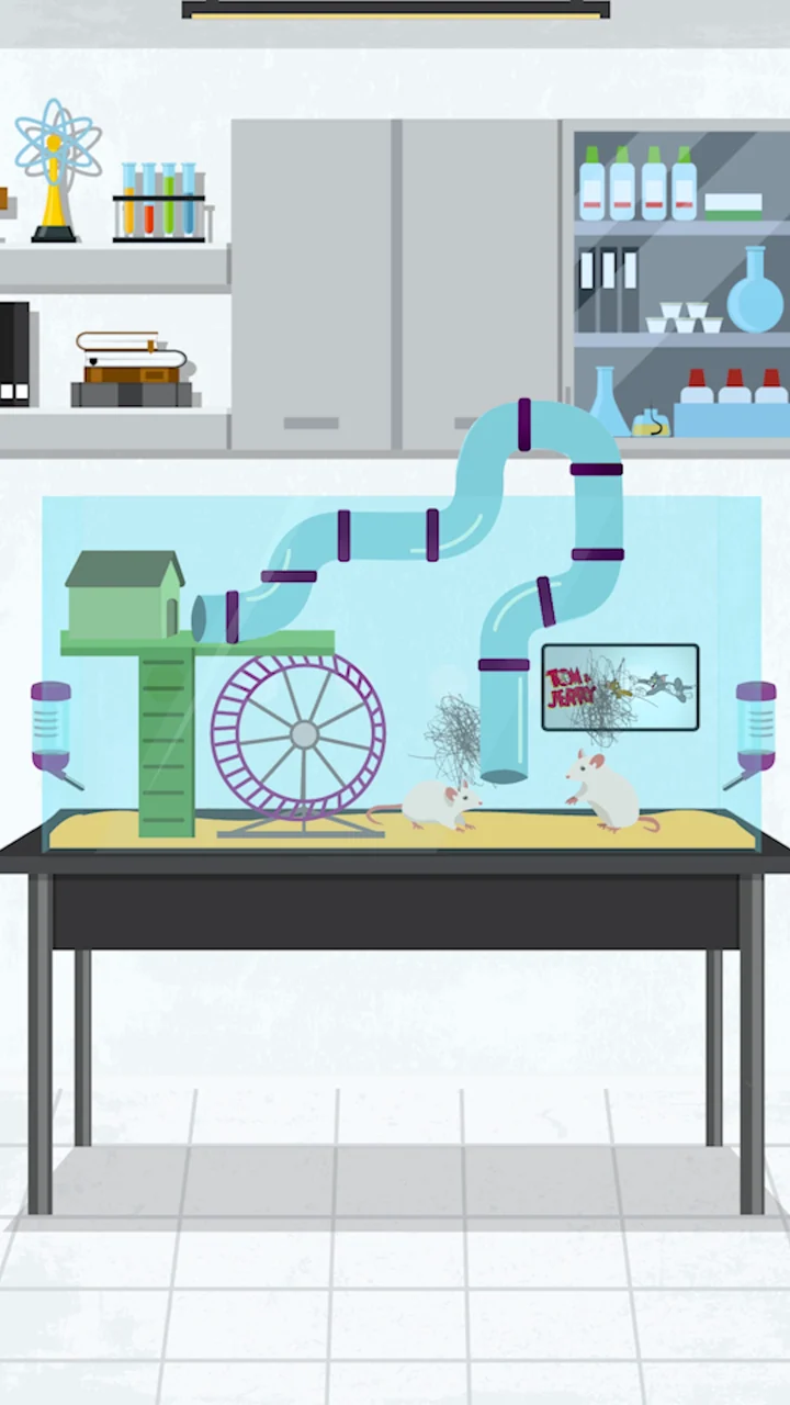 Mental health and anti-stigma: an animated science laboratory